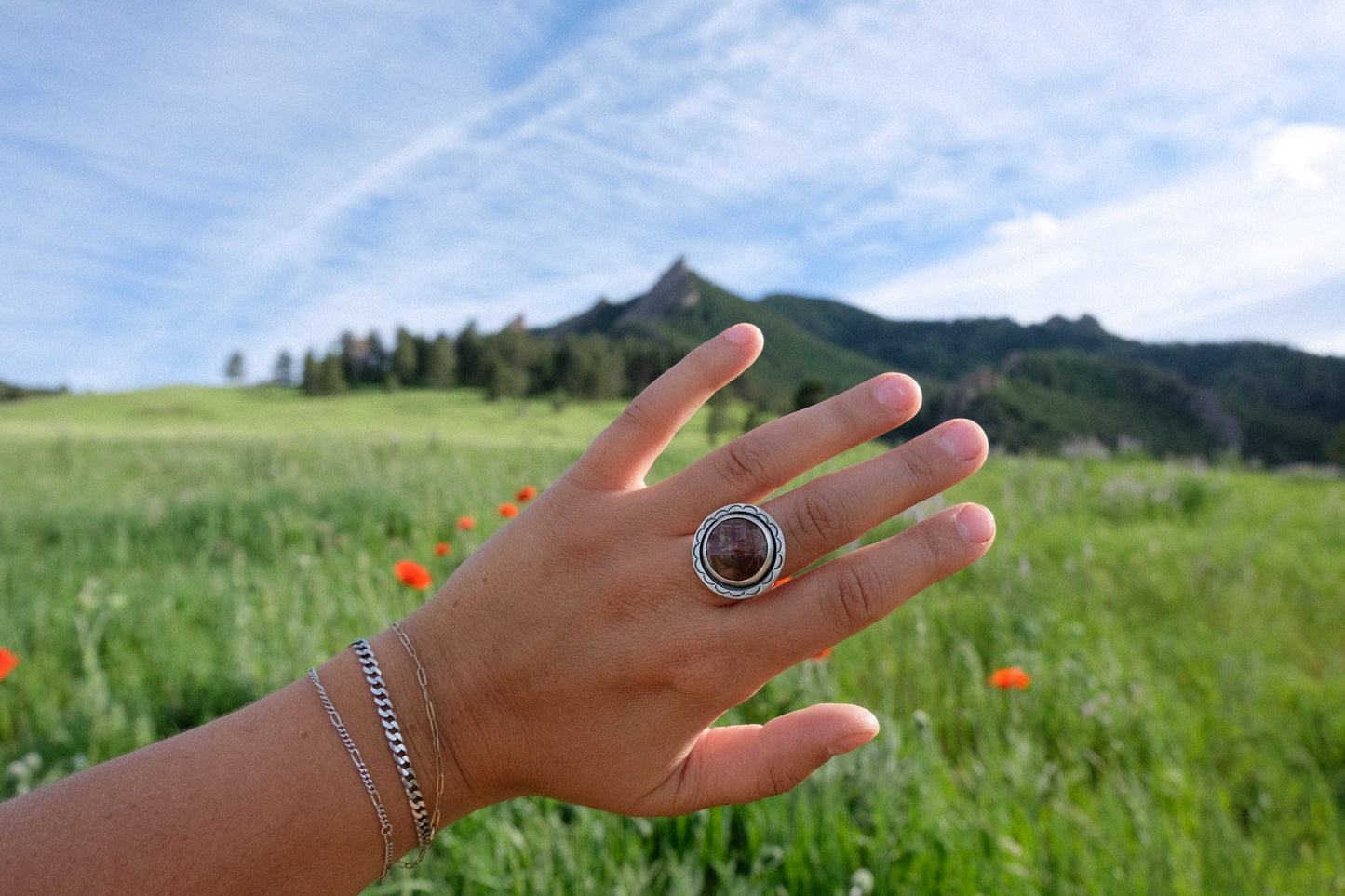 Red Falcon Statement Ring || 7.5