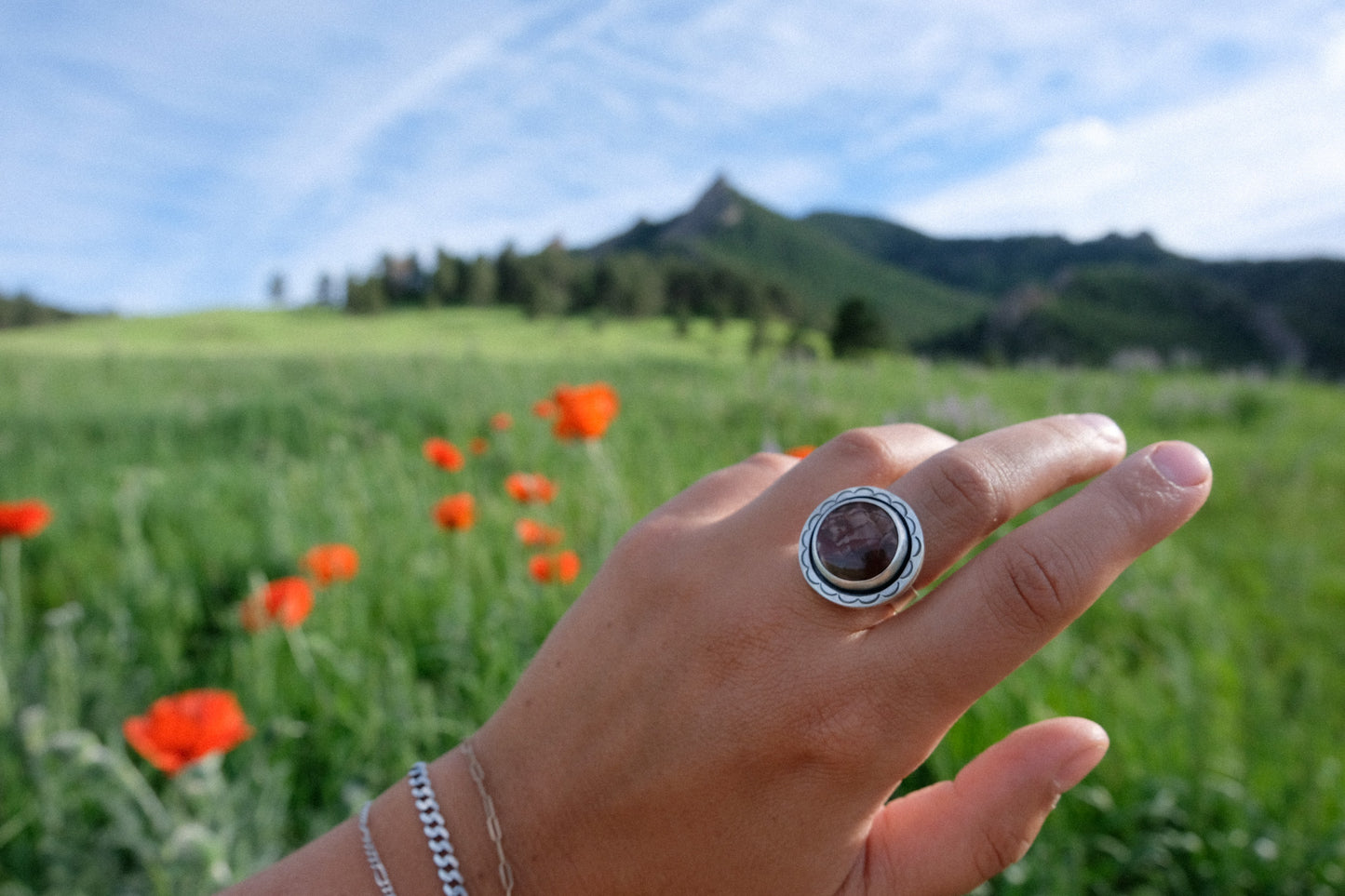 Red Falcon Statement Ring || 7.5
