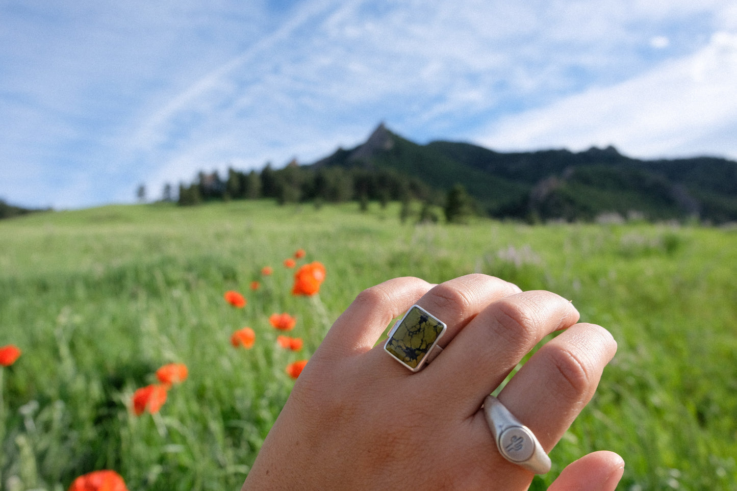 Westry Signet Rings || Made to Order