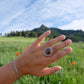 Red Falcon Statement Ring || 7.5