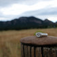 CU Boulder Signet Rings || Made to Order