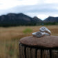 CU Boulder Signet Rings || Made to Order