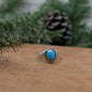 Turquoise Signet Ring #4 || Size 8
