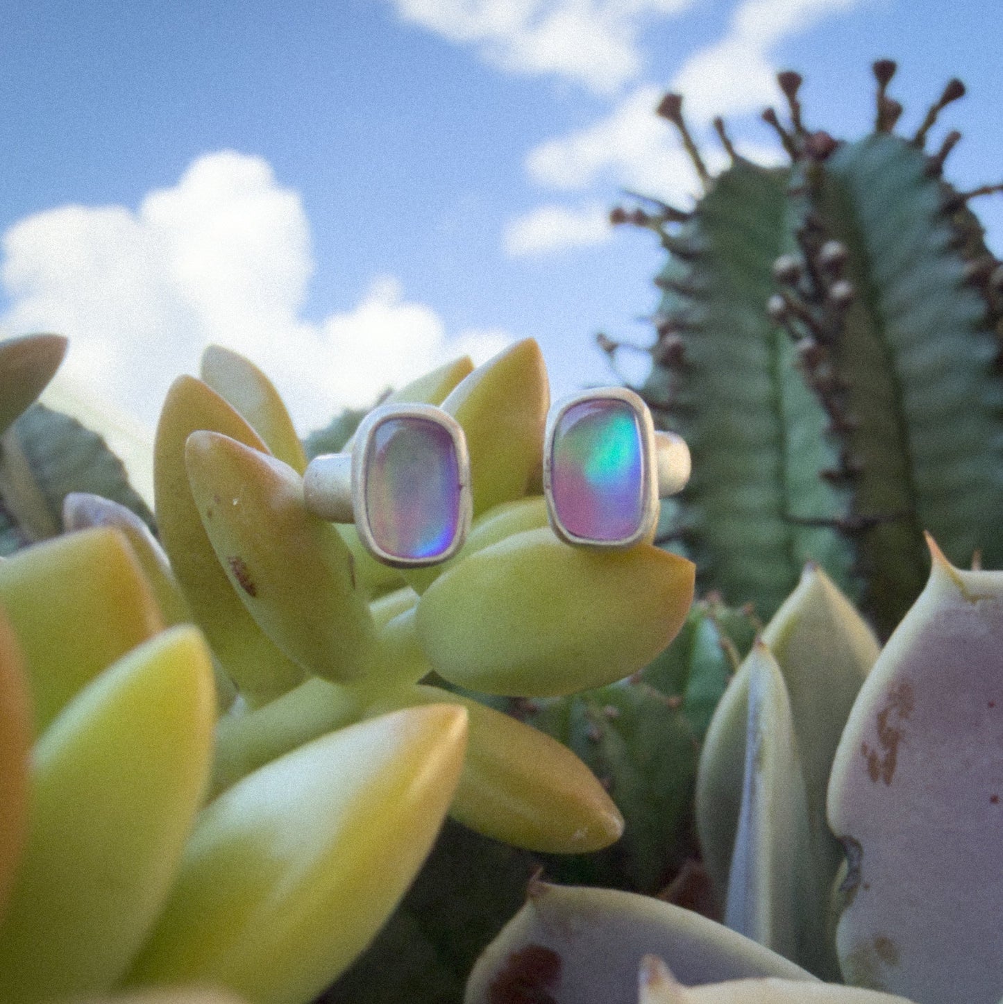 A silver split ring design resting on the green leaves of a succulent plant outdoors under a blue sky with clouds.